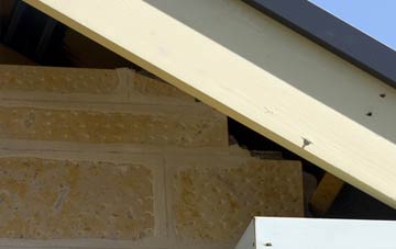 soffit repair Suckley